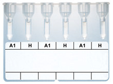 invitrogel_A_SUBGROUPS