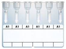 invitrogel_A_SUBGROUP_A1